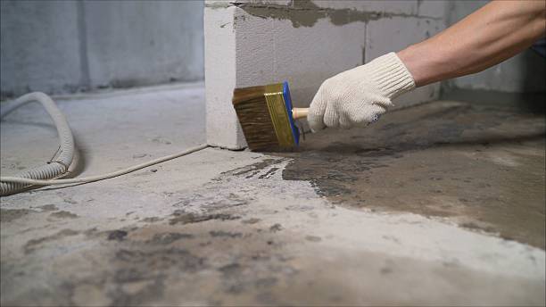 SJ Waterproofing Pros Crawl Space Encapsulation coverage map for Baileyton, AL and surrounding area